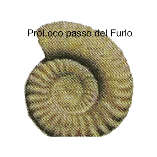 logoprolocofurlo